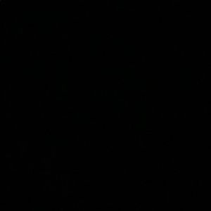 Meet your Posher, Alannah